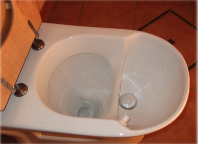 Urine-Diverting Toilet