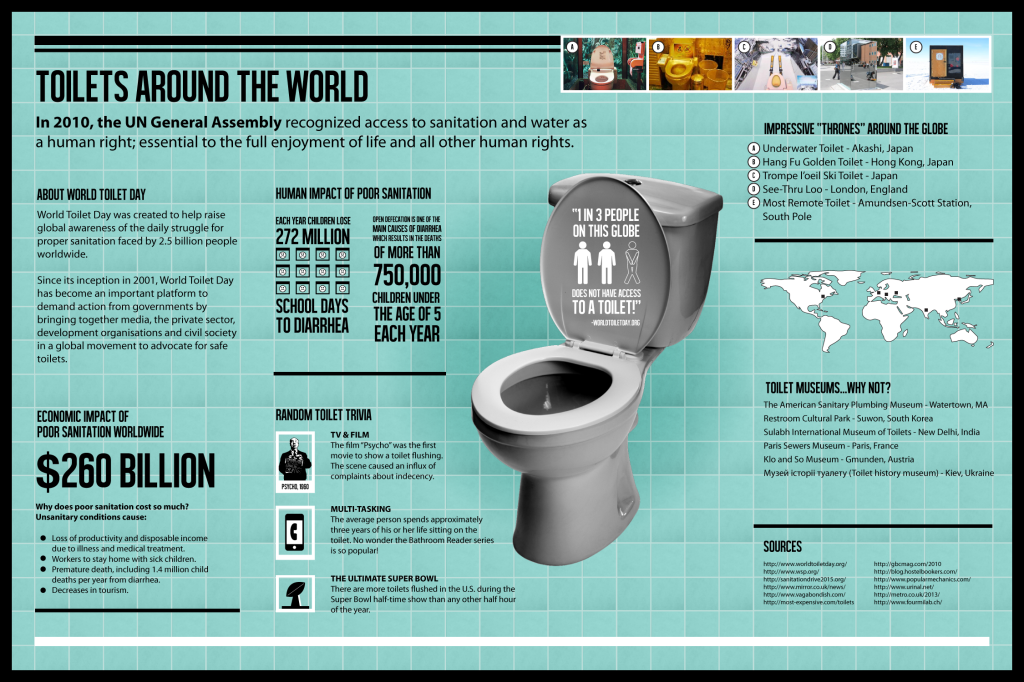 History of Toilet Infographic